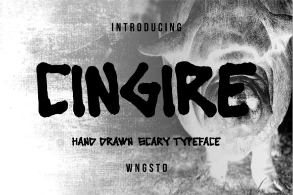 Cingire: A Designer’s Take on This Bold Display Font